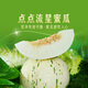 東方甄選點點流星蜜瓜大漠產(chǎn)區(qū)新鮮當季水果甜瓜生鮮壞果包賠 【6-7斤裝】2枚瓜/箱（單瓜1400g+）