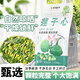 北京同仁堂蓮子芯泡水喝的功效與作用蓮子心茶特級(jí)清熱降火去心火正品嫩牙茶 手工精選 自然清香 四季無火 新貨無硫中藥材 蓮子心【15包】翠綠嫩芽 頭茬新貨