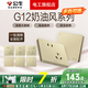 公牛G12香檳金開關(guān)插座全屋套裝暗裝面板86型墻面帶5孔空調(diào)墻壁五孔 斜五孔10只（優(yōu)先發(fā)貨