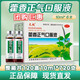 【團(tuán)購(gòu)優(yōu)惠可開(kāi)票】太極藿香正氣口服液10ml*10支解表化濕理氣和中外感風(fēng)寒嘔吐泄瀉腸胃型感冒正氣水 120盒10ml.6.支共.720.支整件裝可開(kāi)票