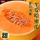 京地達(dá)新疆至愛(ài)哈密瓜 凈重7斤單果2.5斤 黃金蜜瓜禮盒源頭直發(fā)包郵