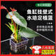 魚(yú)缸水培植物籃家用水草種植杯壁掛式挺水植物定植籃魚(yú)缸造景裝飾 水培定植籃【2個(gè)裝8*5.7cm】
