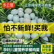 鄉公館綠殼烏雞蛋新鮮農家竹林谷物草柴烏雞蛋正宗散養生鮮綠皮烏雞蛋 烏雞蛋20枚 整箱900g