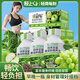 輕上羽衣甘藍奇亞籽纖維飲料代餐高膳食纖西芹果蔬汁245ml*10瓶 
