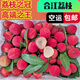 【空運(yùn)】四川瀘州合江荔枝大紅袍妃子笑降沙蘭現(xiàn)摘現(xiàn)發(fā)水果荔枝 合江玉荷包荔枝5斤【凈重4.5】 禮箱裝