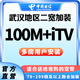 中國電信（CHINA TELECOM）武漢電信加裝第2條寬帶電信融合100M辦理光纖視訊 【武漢79-199檔融合】加裝100M寬帶 下單請(qǐng)留言（身份證號(hào)、姓名、聯(lián)系電話）