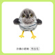 petgravity寵有引力撲騰小肥啾貓咪自嗨解悶玩具仿真小鳥自動逗貓棒消耗體力 布谷鳥【震動感應 拍打激活】