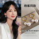 伊燦明星楊紫同款簡約仿珍珠耳環(huán)女輕奢高級感耳飾2025年新款耳釘耳墜 明星楊紫同款簡約仿珍珠耳環(huán)