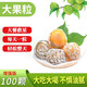 內(nèi)廷上用酵素青梅增強(qiáng)版酵素梅子排宿便秘隨便果零食水果脆青梅四季果凈排 增強(qiáng)版大果【100個(gè)】每天一顆- 嗯嗯順暢