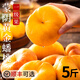 正宗黃金毛蟠桃5斤桃子新鮮水果孕婦應(yīng)季彩虹奶油桃黃盤紐扣蜜桃 【大大果】顆顆甄選|店長力薦 5斤