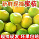 【頭茬-蜜桔】正宗云南蜜桔橘子新鮮現(xiàn)摘當(dāng)季水果現(xiàn)摘現(xiàn)發(fā) 普通裝單個(gè)40g+ 5斤帶箱 凈重4.5斤
