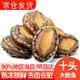 往牧 熟凍三去大鮑魚(yú) 超大10頭 去齒去內臟 生鮮貝類(lèi) 年夜飯 年貨節 大號鮑魚(yú)500g10只*2袋