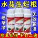 水花生專用爛根劑強(qiáng)力除草一掃光除水花生專用藥除草劑三年不長(zhǎng)草 1瓶【試用裝】水花生專用