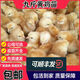 雞活苗正宗九斤黃活苗半斤大紅公雞活雞黃腳土雞三黃雞苗小雞活苗 九斤黃雞苗【12只裝】公母備注