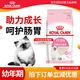 皇家K36幼貓糧4-12月齡英短美短母貓?jiān)胸垖櫸镓堖淙珒r(jià)營(yíng)養(yǎng)貓糧 10kg