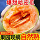 【果園直發(fā)】山東曉蜜哈密瓜 現(xiàn)摘頭茬蜜瓜新鮮當(dāng)季水果現(xiàn)摘整箱 優(yōu)選精品裝 9斤帶箱凈重8.5斤2-4個(gè)