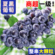 優(yōu)味集夏黑葡萄【JD順豐】脆甜無籽黑提子藍(lán)加侖巨莓峰浙江當(dāng)季生鮮水果 凈重2.8斤（多人爽吃）-順豐