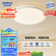 歐普（OPPLE）48瓦吸頂燈客廳臥室燈簡(jiǎn)約護(hù)眼智控調(diào)光LED燈具18㎡品見III包安裝