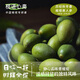 欖語(yǔ)心齋? 2025年新鮮青橄欖【中國(guó)橄欖之鄉(xiāng)核心產(chǎn)區(qū)】源頭直發(fā) 500g裝【開(kāi)窗牛皮紙袋】JD快遞