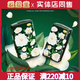 宜嬰山茶悅動(dòng)拉拉褲小內(nèi)褲紙尿?qū)嶓w店綠山茶花成長(zhǎng)褲柔軟嬰兒尿不濕 紙尿褲NB新生兒80碼 通用