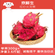 京鮮生 紅心火龍果大果6粒裝 單果300g 凈重3.6斤 生鮮水果