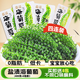鮮豐春海葡萄家用鹽漬即食涼拌海藻菜魚(yú)子醬兒童火鍋食材400克調(diào)味蘸料