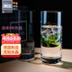 肖特圣維莎（SCHOTT ZWIESEL） 德國原裝進(jìn)口 無(wú)鉛水晶玻璃水杯 泡綠茶玻璃杯明前龍井茶杯 安全 370ML單只