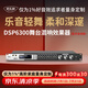 麥樂迪DSP6300卡拉ok混響器 數(shù)字音頻前級(jí)效果器 家庭影院防嘯叫調(diào)音臺(tái)處理器含話筒 調(diào)音臺(tái)均衡器 DSP6300藍(lán)牙升級(jí)版(含線) 標(biāo)準(zhǔn)版