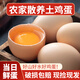 蛋百惠農家散養鮮雞蛋新鮮現撿現發(fā)谷物喂養正宗蟲(chóng)草雞蛋單枚40±5g 30枚