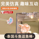 智宙斗魚棒斗魚訓練棒展尾訓練斗魚玩具逗魚棒趣味互動增強體色斗魚筆 藍色斗魚棒