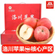 褚蘋果正宗洛川蘋果 紅富士蘋果 時(shí)令孕婦水果整箱 當(dāng)季生鮮節(jié)日禮盒 精選12枚優(yōu)級(jí)果禮盒裝(約6.5斤)