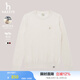 哈吉斯（HAZZYS）女裝 春秋款女毛衣【PHIZ系列】時尚羊毛衫女ABYSD0BCX01 米黃色OW M (160/84A 38)