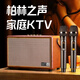 ROBERILLINE柏林之聲高端藍牙家庭KTV音箱戶外唱K歌音響家用話筒高音質(zhì)卡拉ok 復古棕 【順豐包郵/質(zhì)保2年】