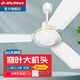 金羚（JINLING） 金羚吊扇48\/56吋吸頂扇電風(fēng)扇樓頂扇工業(yè)扇 鐵葉56吋三葉 56寸【大機(jī)頭】1.4米 白色