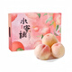 YH江蘇當季水蜜桃 新鮮白鳳水蜜桃 當季現摘水果端午送禮禮盒 9粒禮盒裝【單果5-6兩】