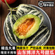 譯優(yōu)農(nóng)山東博洋9號(hào)甜瓜新鮮現(xiàn)摘頭茬瓜當(dāng)季水果羊角蜜甜瓜61號(hào)香瓜 5斤精品大果順豐快遞