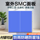 博森特（BOSENTE） 乒乓球桌室外桌面乒乓球臺臺面戶外乒乓球板面 室外標準款桌面【半張】