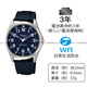 西鐵城（CITIZEN）獵鷹CITIZEN Q&Q帆布帶手表QB38-315 學(xué)生考試簡(jiǎn)約百搭官方正品 QB38-315 蘭盤(pán)蘭帆布帶