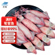 靈略全籽筆管魚2斤含保護(hù)冰100g 魷魚海兔子籽烏滿籽帶籽海生鮮軟足類