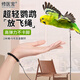 修醫(yī)寵鸚鵡放飛繩不傷腳超輕訓(xùn)練繩虎皮玄鳳牡丹腳環(huán)腳鏈脖套遛鳥飛行繩