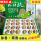 正宗陜西眉縣徐香綠心獼猴桃奇異果新鮮翠香孕婦水果精美禮盒當季 徐香獼猴桃 精美禮盒24顆大果(90-110g)