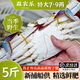 舟山梭子蟹鮮活特大野生大螃蟹新鮮冷凍海鮮水產(chǎn)海蟹飛蟹白蟹順豐 5-7兩/只【4斤 個大肉多】