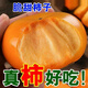 云南脆柿子新鮮水果當季整箱包郵火晶黃硬皮特產(chǎn)巧克力甜柿子大果 云南脆柿 1斤