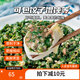 新雅鮮肉薺菜餡速食半成品菜餃子餛飩春卷湯圓豬肉餡料水餃千張餡料 鮮肉薺菜餡500g*2袋