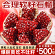 顏曼箐石榴 突尼斯軟籽石榴會(huì)理紅寶石甜石榴新鮮水果中秋節(jié)水果禮盒 5斤精品果4-5兩 凈重4.5斤