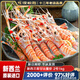 深悅勝（SHENYUESHENG） 新西蘭進(jìn)口鰲蝦刺身 scampi斯干比1kg 特大南極深海蝦甜蝦刺身 2號（11-15只） 1kg(凈重)