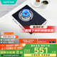 華帝（VATTI）燃氣灶家用單灶頭 臺式嵌入式 4.1kW易打理鋼化玻璃面板雙灶臺灶具i10031B【天然氣產(chǎn)品】