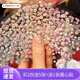 京厽韓款櫻花朵朵美甲貼小孩小彩花指甲貼兒童指甲貼畫防水持久 小香風(fēng)5張 無