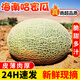 探味君 海南哈密瓜 應(yīng)當(dāng)季新鮮水果現(xiàn)摘網(wǎng)紋瓜蜜香甜瓜老漢瓜整箱 生鮮 凈重8.5斤 【精選裝】個個甄選