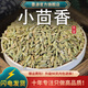 墨源小茴香調(diào)料顆粒香料茶小回香籽子菜籽茴香籽中藥材新鮮商用干貨粉 小茴香250克【新貨】